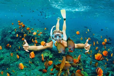 Snorkeling Maui: 13 Colorful Tropical Fish You Must See Now!.